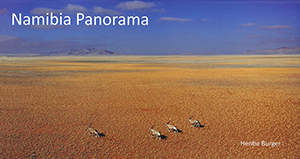 Namibia Panorama