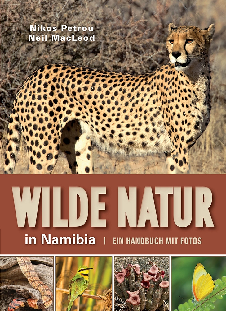 Wilde Natur in Namibia