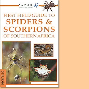 First Field Guide to Spiders and Scorpions of Southern Africa