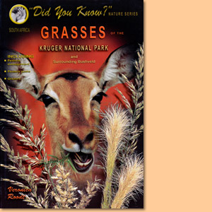 Grasses of the Kruger National Park and surrounding Bushveld