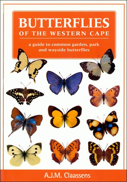 Butterflies of the Western Cape
