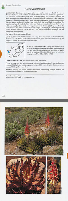 Excerpt from Guide to the Aloes of South Africa, ISBN 9781920217389 / ISBN 978-1-920217-38-9