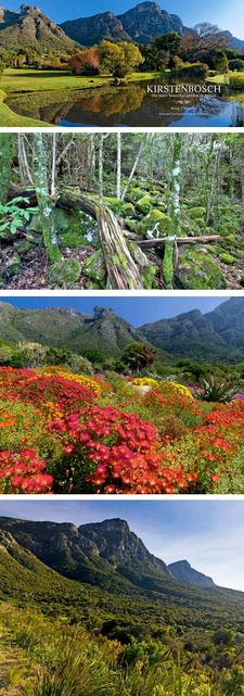 Captions from the book: Kirstenbosch. The most beautiful garden in Africa. Author: Brian J. Huntley. ISBN 9781431701179