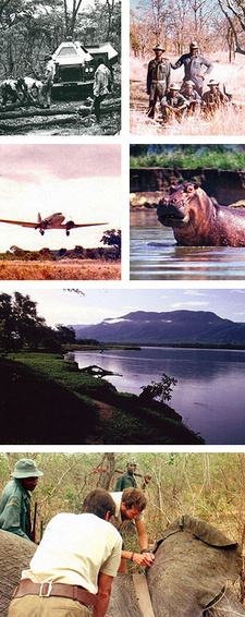Photos taken by author Nick Tredger. In: From Rhodesia to Mugabe's Zimbabwe. Chronicles of a Game Ranger.