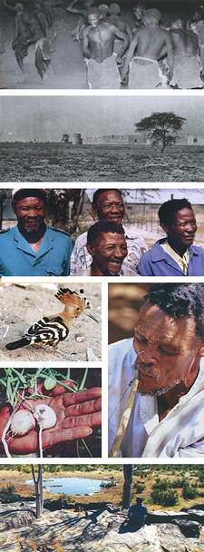 Impressions from Etosha: Hai//om Heartland. Ancient hunter-gatherers and their environment, by Reinhard Friedrich and Horst Lempp.