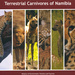 Conservation Status and Red List of the Terrestrial Carnivores of Namibia, by John Pallett, Gail Thomson and Alice Jarvis. Windhoek, Namibia 2022. ISBN 9789994501670 / ISBN 978-9-99-450167-0