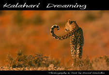 Kalahari Dreaming, by Bernd Wasiolka. Bochum, 2015. ISBN 9783000409912 / ISBN 978-3-00-040991-2