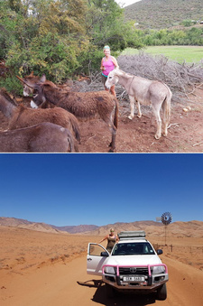 Die deutsche Tierrechtaktivistin Ellen Horlebein will Namibia mit zwei Eseln durchwandern und dabei auf alltägliche Tierquälerei im südlichen Afrika aufmerksam machen.