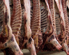 Namibia liefert Fleisch und Fisch nach China.