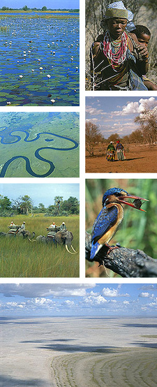 A pictorial excerpt from Karen Ross's photo book 'Okavango: Jewel of the Kalahari'. (ISBN 1868727297 / ISBN 1-86872-729-7)