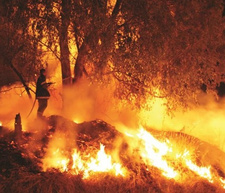 Klein-Windhoek-Rivier in Flammen