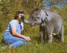 Der Schweizer Ruedi Tanner ist ein Elefantenexperte und Autor.