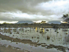 Dezember 2013 bringt reichlich Regen für Namibia: Omatako-Berge in Regenwolken. © Ralph Höfelein