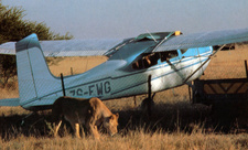 Nach einem gefährlichen Flug von Johannesburg, landete Tierschützer Mark Owens die von der Frankfurter Zoologischen Gesellschaft finanzierte Cessna 170 im Deception Valley in der Kalahari von Botswana.