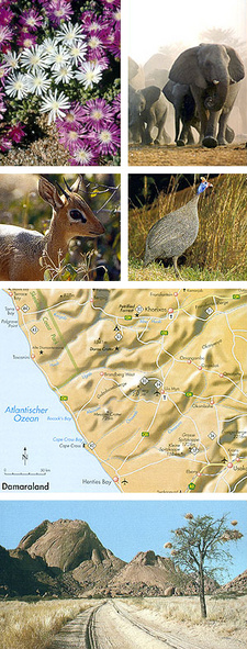 Bildauszug aus der zweiten Auflage des Namibia NaturReiseführer (Tecklenborg-Verlag, ISBN 9783939172901 / ISBN 978-3-939172-90-1)