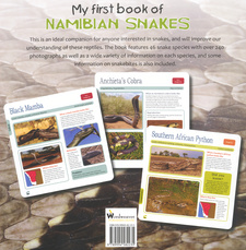 Reverse: My First Book of Namibian Snakes, by Francois Theart and Christo Buys.