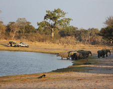 Namibia: Anti-Wilderer-Einheit schießt auf Besucher des Bwabwata-Nationalparks. Foto: Im Ostteil des Bwabwata-Nationalparks.