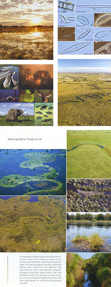 Okavango Delta. Floods of Life, by John Mendelsohn.