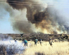 Viele Veldbrände in Namibia seit dem 21.07.2014.