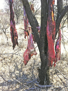 Wilderei und Wilddiebstahl hat in Namibia stark zugenommen. Die Farmer bleiben fast immer auf dem Schaden sitzen. Kriminelle schrecken sebst vor dem Vergiften von Wasserstellen nicht zurück.