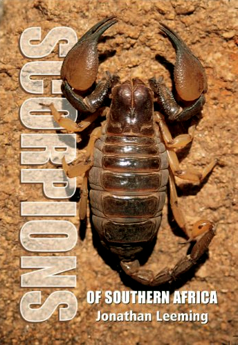 Scorpions of Southern Africa