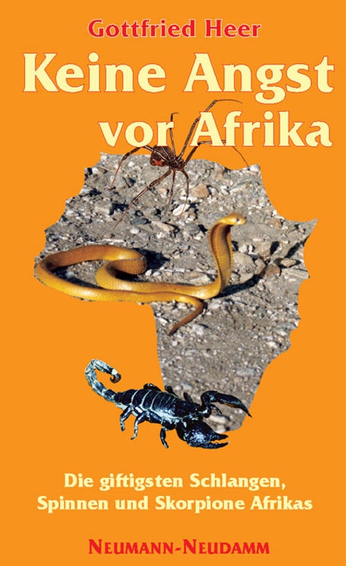 Keine Angst vor Afrika