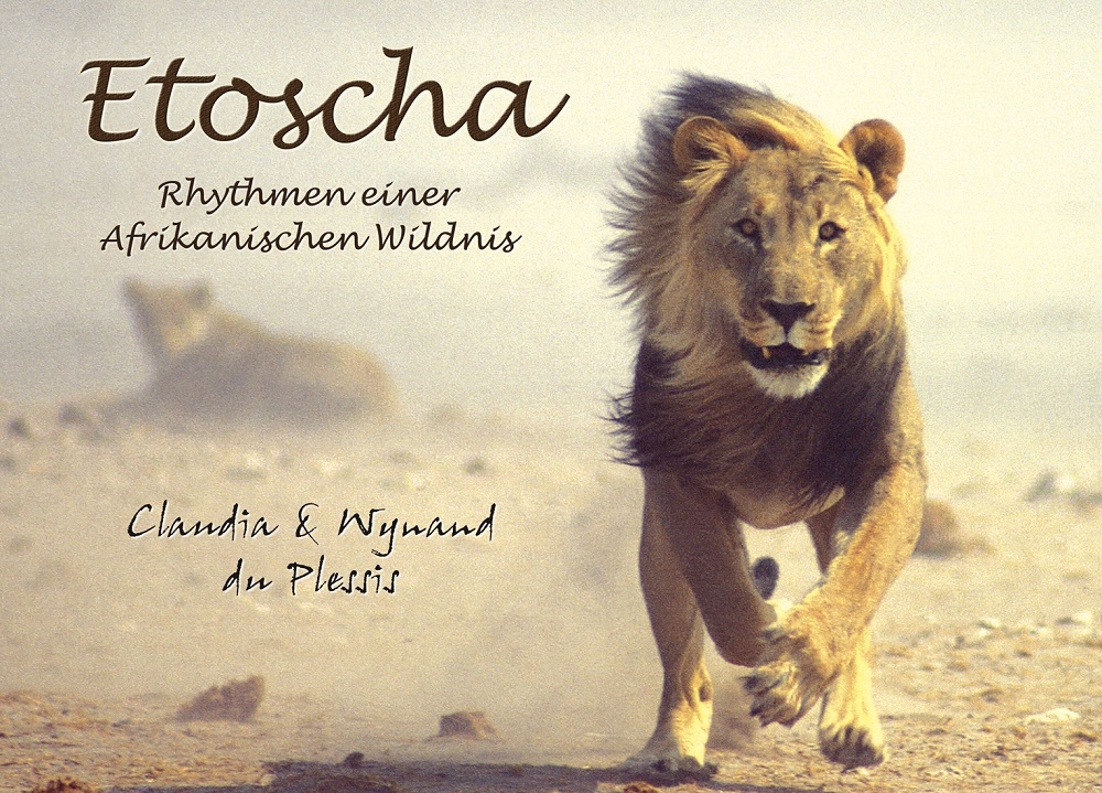 Etoscha: Rhythmen einer afrikanischen Wildnis