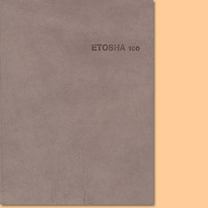 Etosha. Celebrating a hundred years of conservation