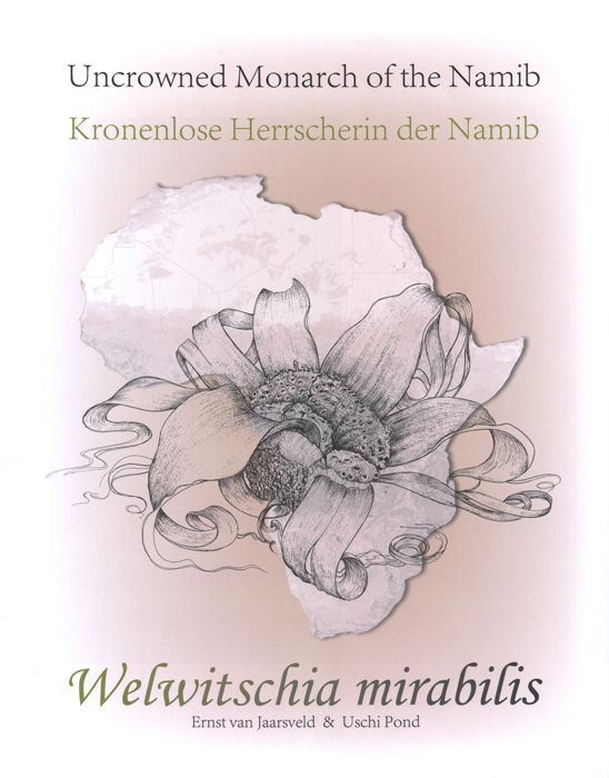 Welwitschia mirabilis. Kronenlose Herrscherin der Namib