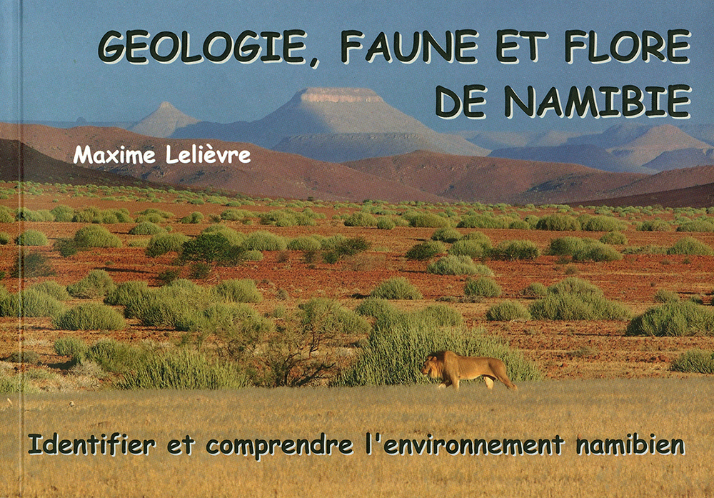 Géologie, faune et flore de Namibie