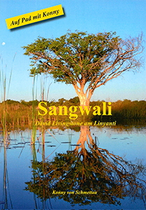 Sangwali: David Livingstone am Linyanti