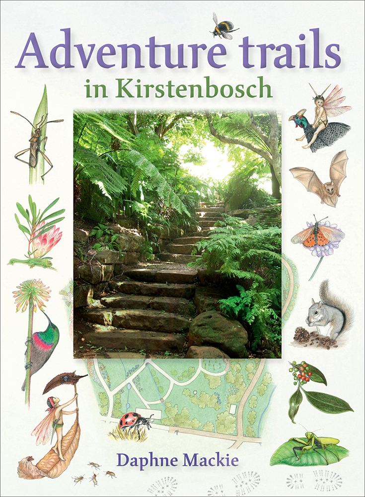 Adventure Trails In Kirstenbosch