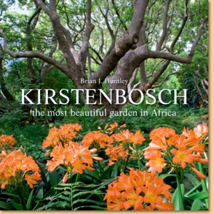Kirstenbosch: The most beautiful garden in Africa