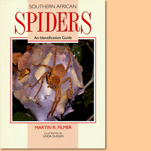 Southern African Spiders: An identification guide