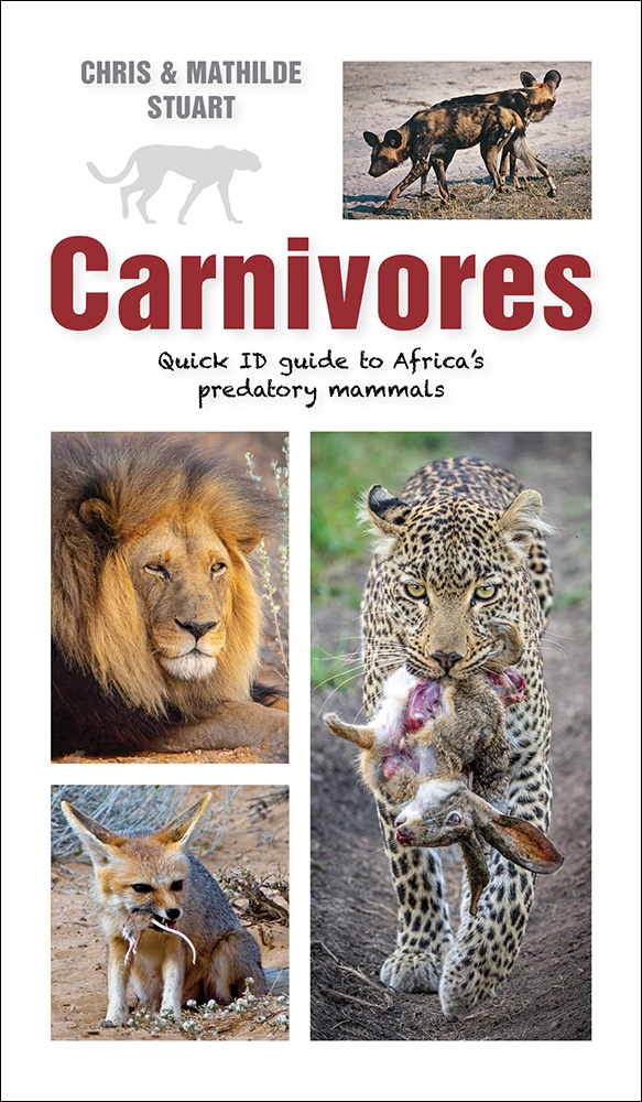 Carnivores: Quick ID guide to Africa's predatory mammals