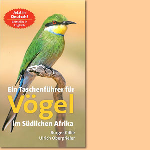 Ein Taschenführer für Vögel im südlichen Afrika