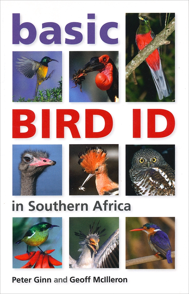 Basic Bird ID in southern Africa