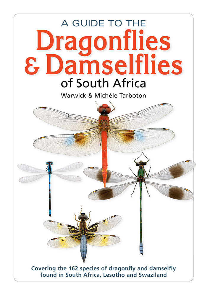 A guide to the dragonflies and damselflies of South Africa