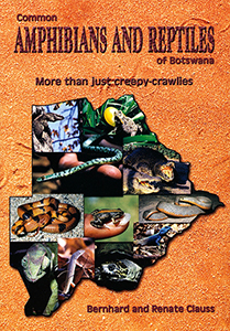 Common Amphibians and Reptiles of Botswana