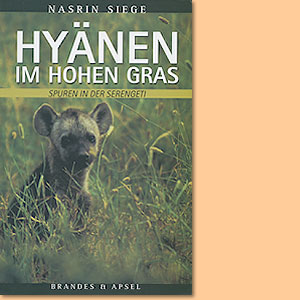 Hyänen im hohen Gras. Spuren in der Serengeti