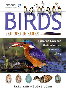 Birds. The Inside Story. Exploring birds and their behaviour in southern Africa