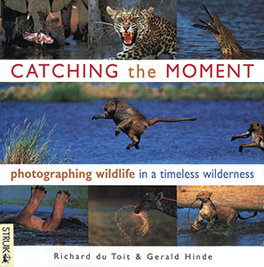 Catching the Moment: Photographing Wildlife In a Timeless Wilderness