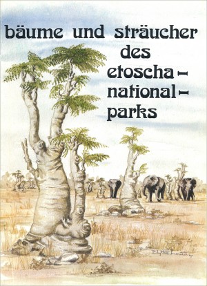 Bäume und Sträucher des Etoscha-Nationalparks