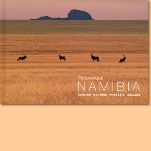 Picturesque Namibia