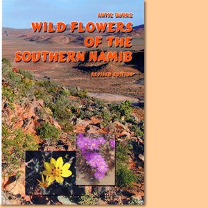 Wild Flowers of the Southern Namib