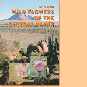 Wild Flowers of the Central Namib