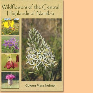 Wildflowers of the Central Highlands of Namibia