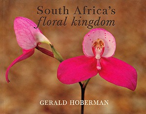 South Africa's Floral Kingdom (Hoberman)