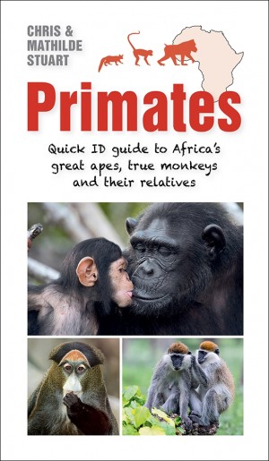 Primates: Quick ID guide to Africa's great apes, true monkeys and their relatives