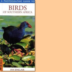A Photographic Guide to Birds of Southern Africa